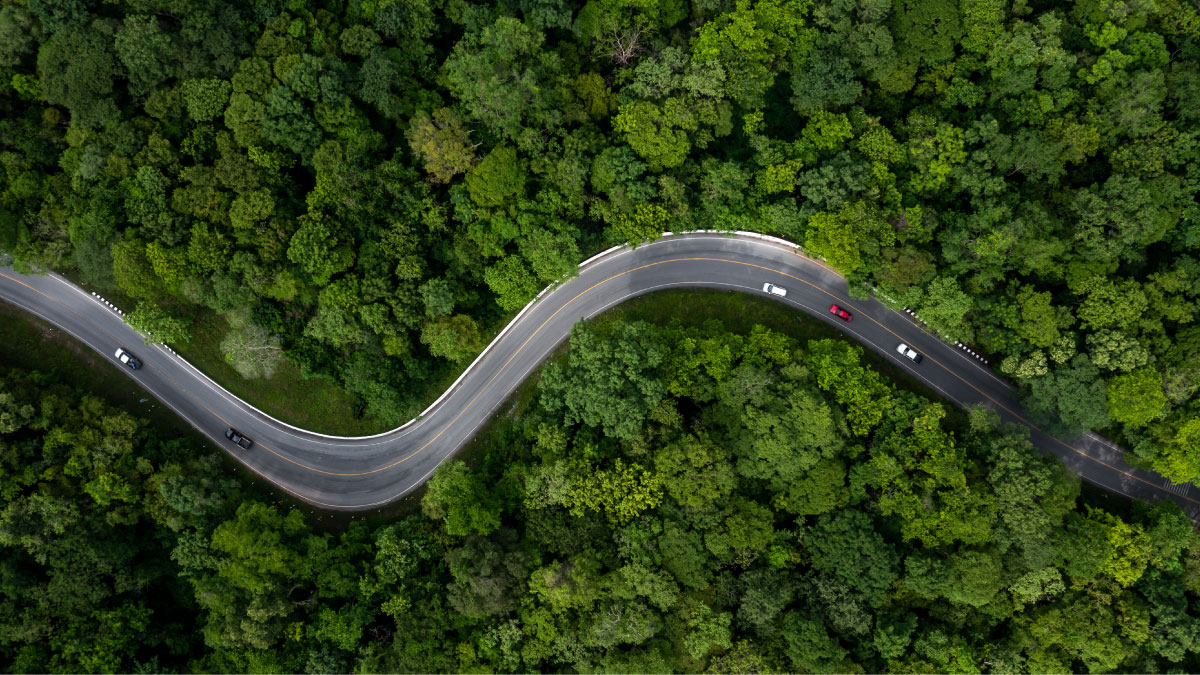 Electric cars on a long winding road
