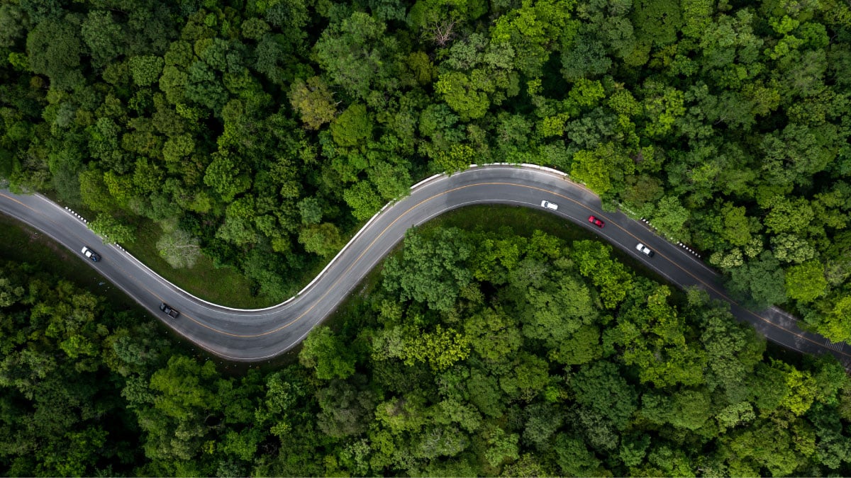 Electric cars on a long winding road